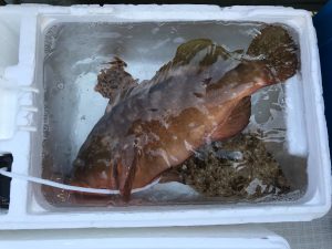 さぶろう丸 釣果