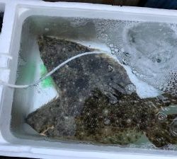 さぶろう丸 釣果