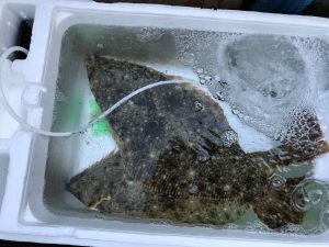 さぶろう丸 釣果