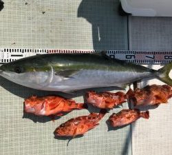 さぶろう丸 釣果