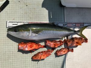 さぶろう丸 釣果