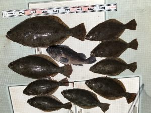 さぶろう丸 釣果