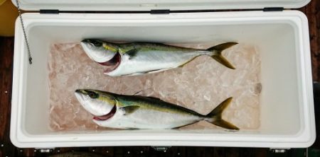 火遠理丸(ほおりまる) 釣果