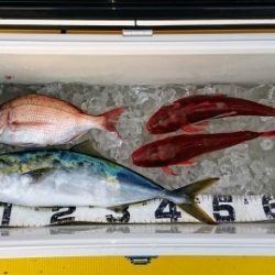 火遠理丸(ほおりまる) 釣果