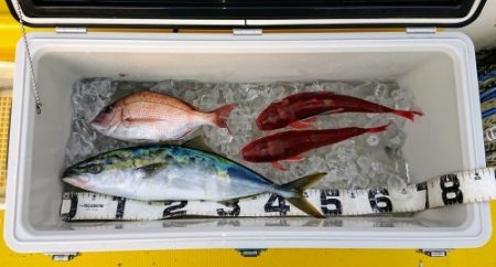 火遠理丸（ほおりまる） 釣果