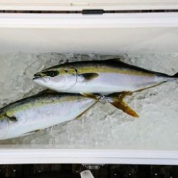 火遠理丸(ほおりまる) 釣果