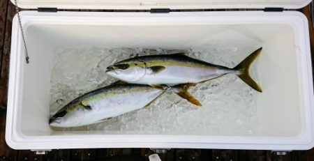 火遠理丸(ほおりまる) 釣果