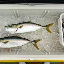 火遠理丸(ほおりまる) 釣果