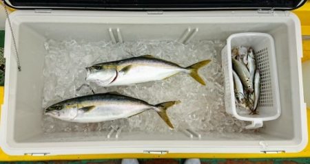 火遠理丸(ほおりまる) 釣果