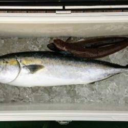 火遠理丸(ほおりまる) 釣果