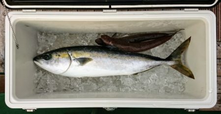 火遠理丸(ほおりまる) 釣果