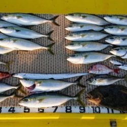 火遠理丸(ほおりまる) 釣果