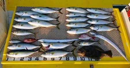 火遠理丸(ほおりまる) 釣果