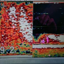 火遠理丸(ほおりまる) 釣果