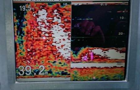 火遠理丸(ほおりまる) 釣果