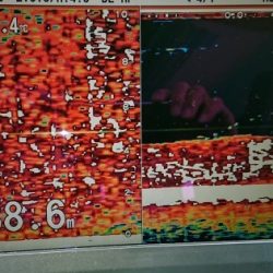 火遠理丸(ほおりまる) 釣果