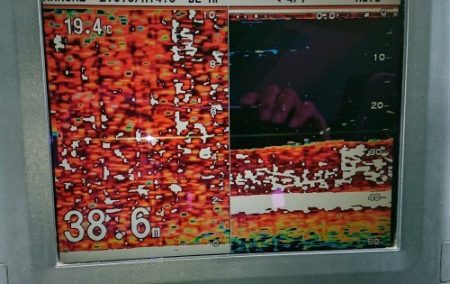 火遠理丸(ほおりまる) 釣果