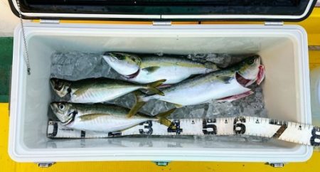 火遠理丸（ほおりまる） 釣果