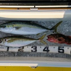 火遠理丸（ほおりまる） 釣果