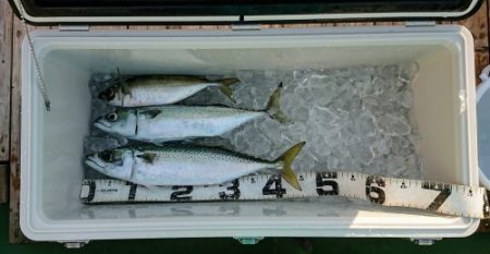 火遠理丸（ほおりまる） 釣果