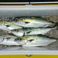 火遠理丸（ほおりまる） 釣果