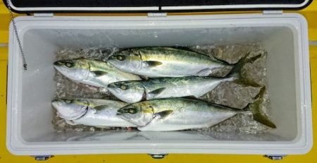 火遠理丸（ほおりまる） 釣果