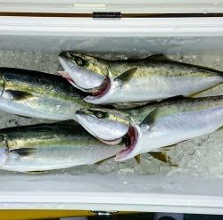 火遠理丸（ほおりまる） 釣果