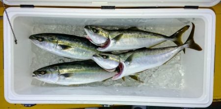 火遠理丸（ほおりまる） 釣果