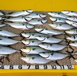 火遠理丸(ほおりまる) 釣果