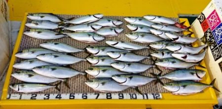 火遠理丸（ほおりまる） 釣果