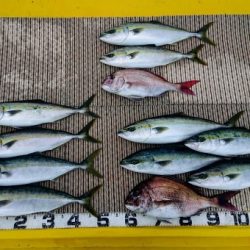 火遠理丸(ほおりまる) 釣果