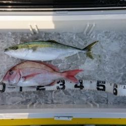 火遠理丸(ほおりまる) 釣果