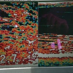 火遠理丸(ほおりまる) 釣果