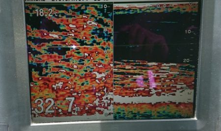 火遠理丸(ほおりまる) 釣果