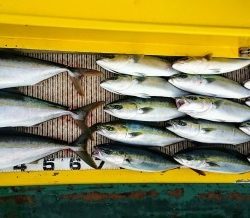 火遠理丸（ほおりまる） 釣果