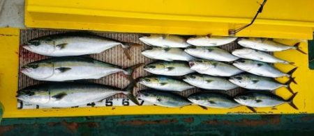 火遠理丸（ほおりまる） 釣果