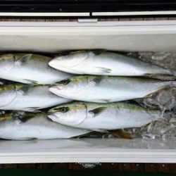 火遠理丸（ほおりまる） 釣果