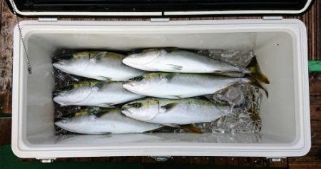 火遠理丸（ほおりまる） 釣果