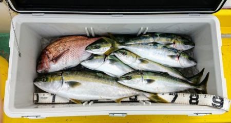 火遠理丸（ほおりまる） 釣果