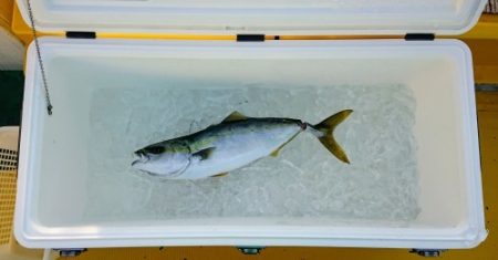 火遠理丸（ほおりまる） 釣果