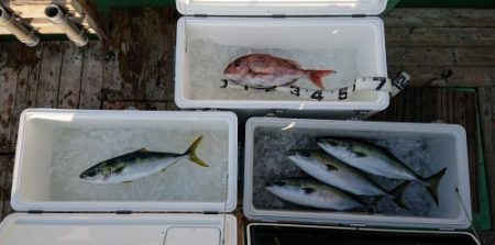 火遠理丸（ほおりまる） 釣果