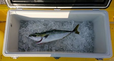 火遠理丸（ほおりまる） 釣果