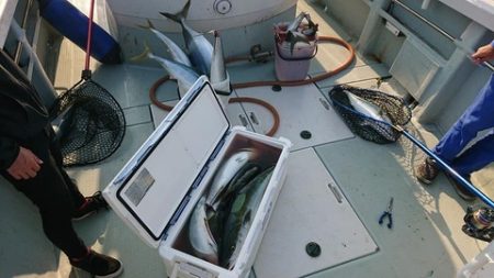 スカイマリン 釣果