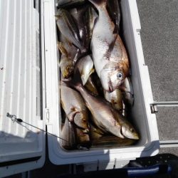 第二大福丸 釣果