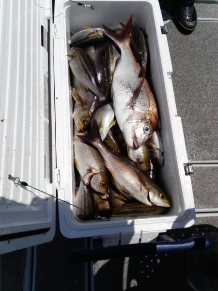 第二大福丸 釣果