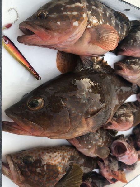 Magic(マジック) 釣果