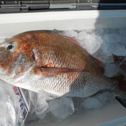 こうゆう丸 釣果