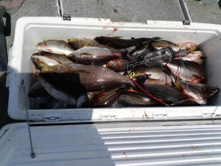 第二大福丸 釣果