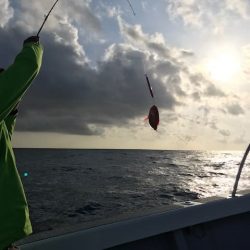 へいみつ丸 釣果