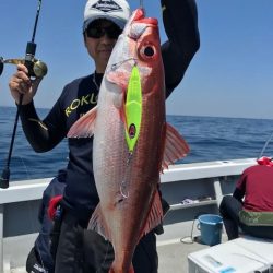 へいみつ丸 釣果